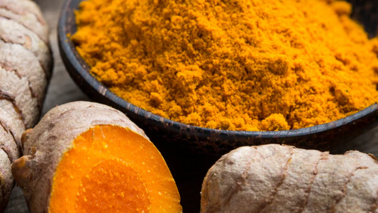 Curcumin Schmelzpastillen – Ein traditionsreicher Pflanzenstoff neu gedacht
