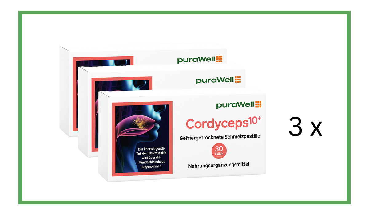 Kurpackung mit drei Monatspackungen puraWell Cordyceps10+