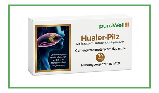 Huaier-Pilz Schmelzpastillen (30 Stück)